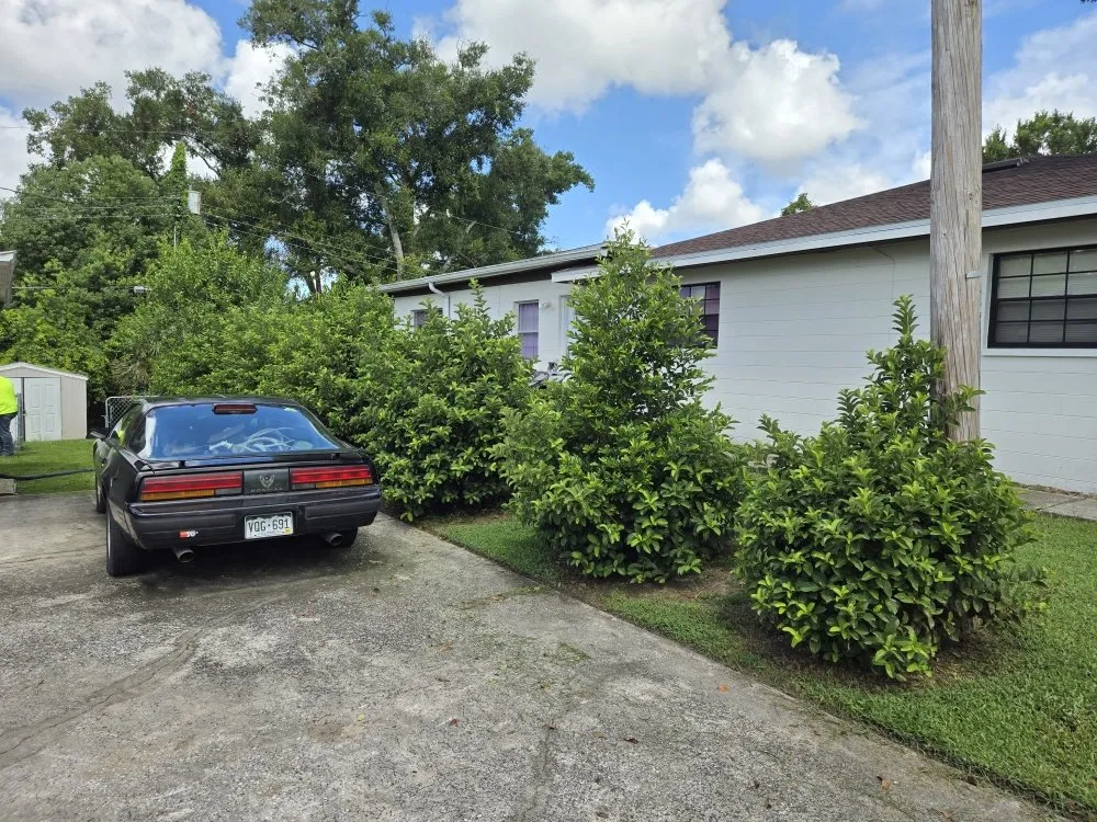 Local lawn care service for residential properties in Lakeland, FL by Teague’s Lawn Care