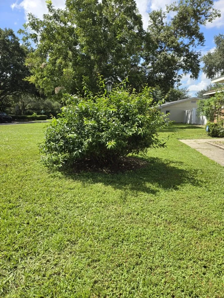 Affordable landscaping services in Lakeland, FL by Teague’s Lawn Care