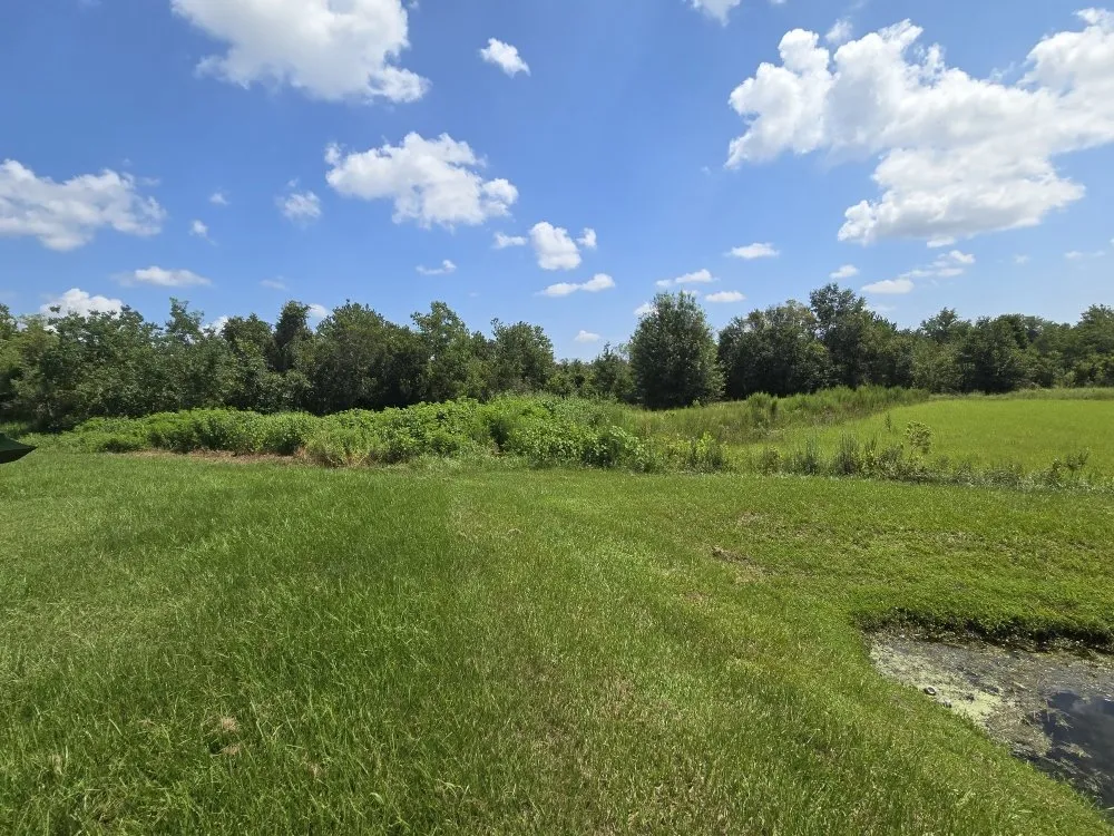 Custom yard maintenance experts serving Lakeland, FL - Teague’s Lawn Care