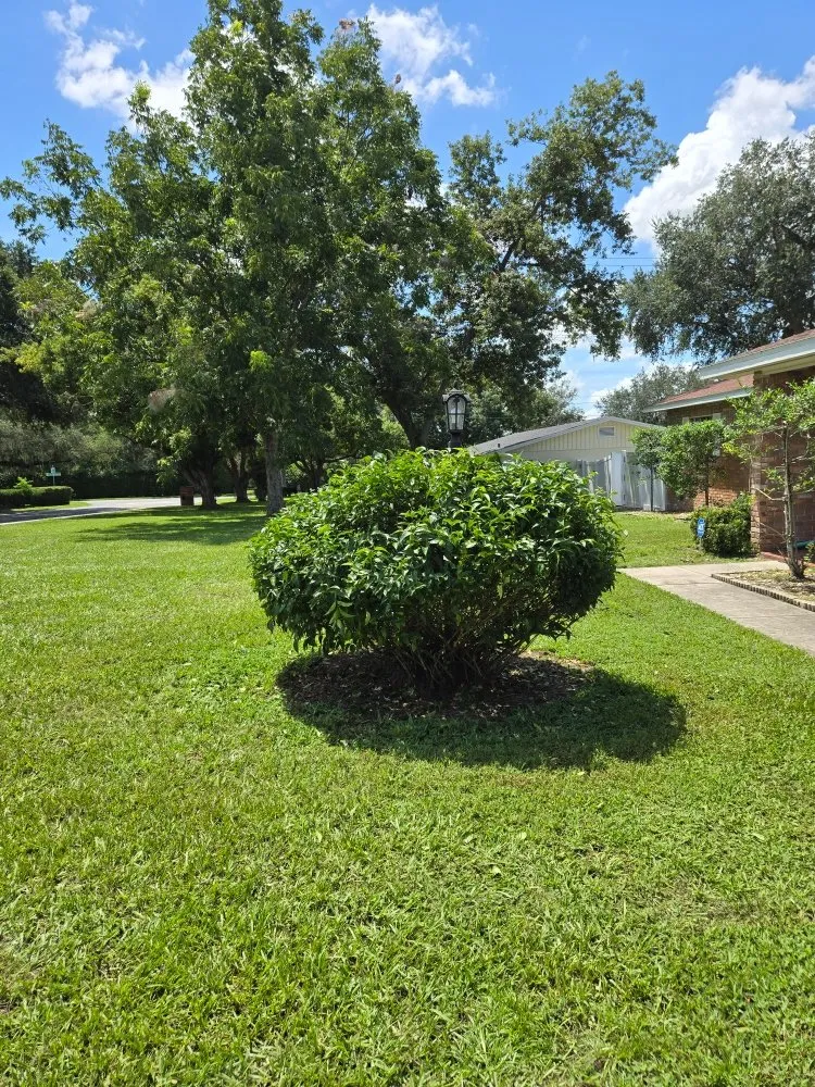 Local landscape installation in Lakeland, FL by Teague’s Lawn Care