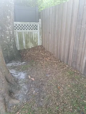 Teal Lawn & Landscape Maintenance Logo