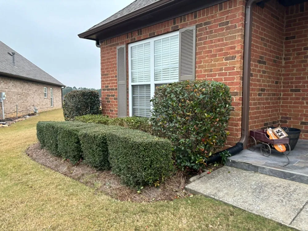 Trusted yard maintenance in Pelham, AL - Team 26 Landscaping