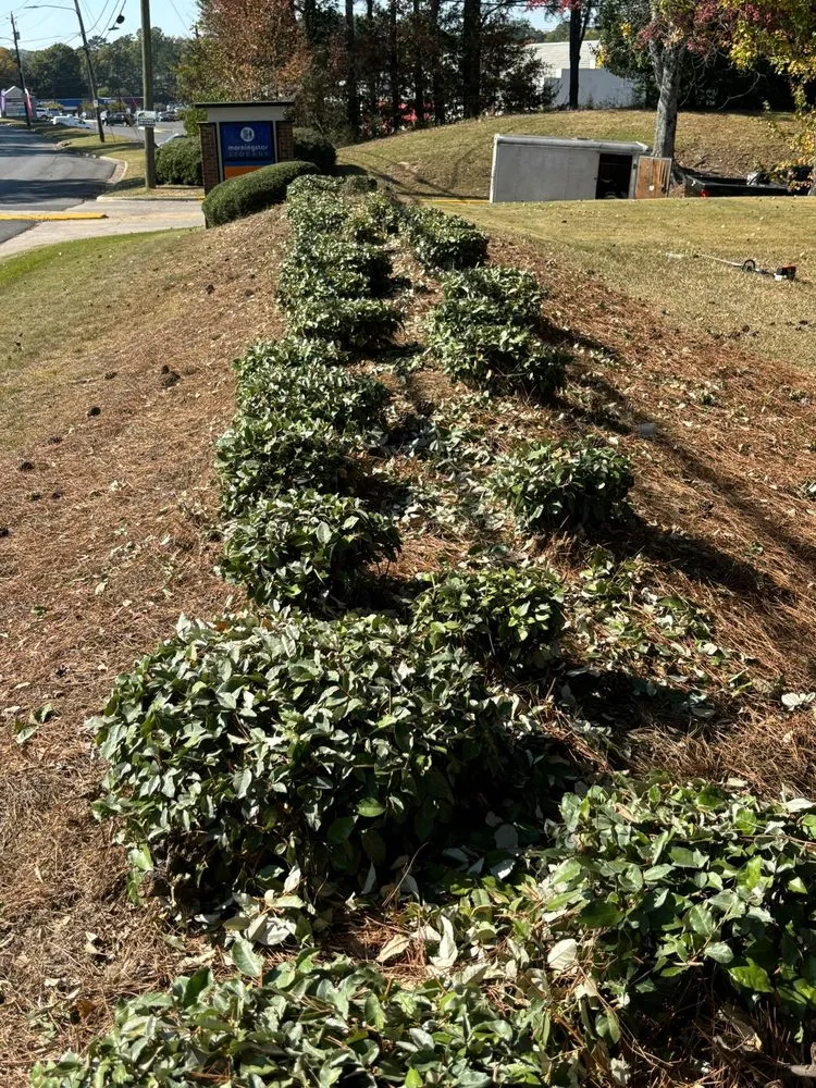 Professional lawn care service experts serving Pelham, AL - Team 26 Landscaping