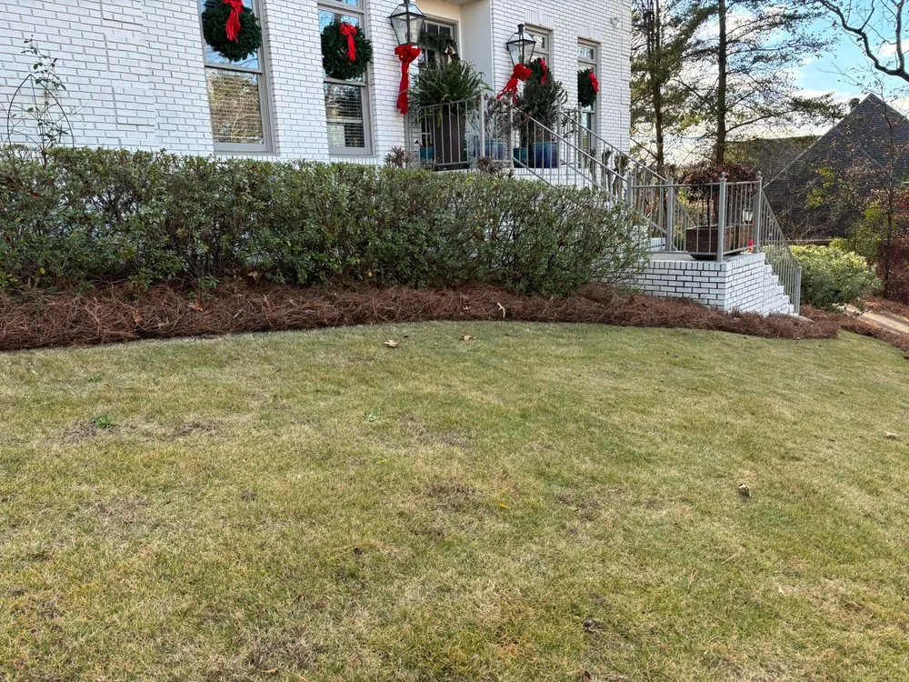 Trusted yard maintenance in Pelham, AL - Team 26 Landscaping