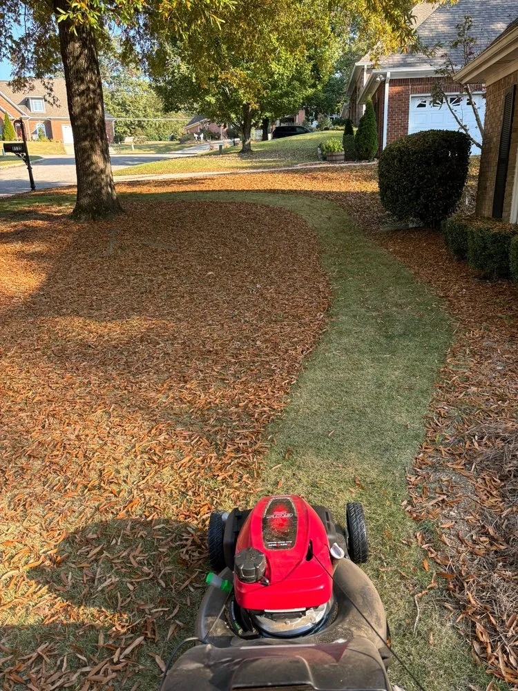 Affordable yard cleanup service in Pelham, AL by Team 26 Landscaping