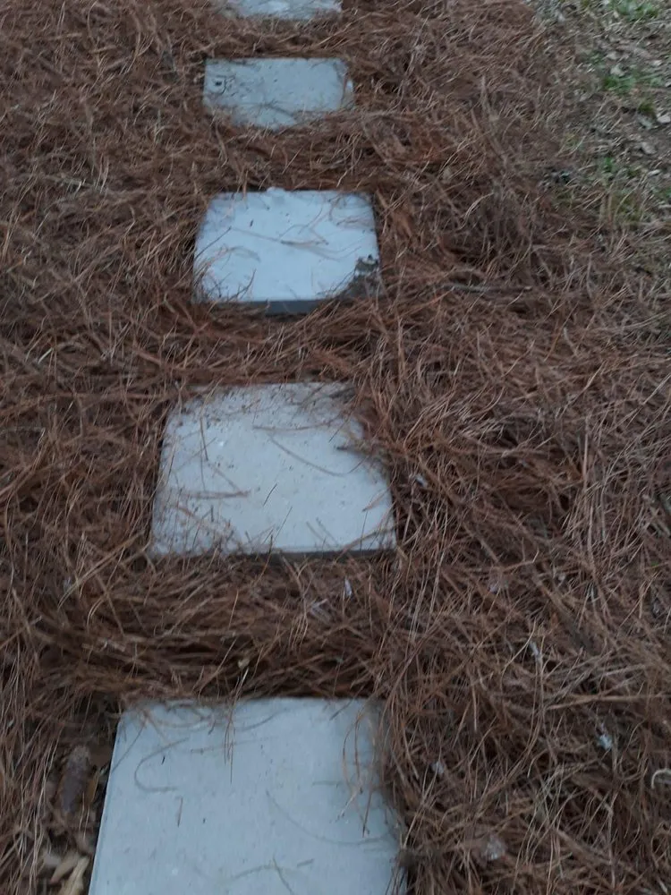 Local landscaping services experts serving Pelham, AL - Team 26 Landscaping