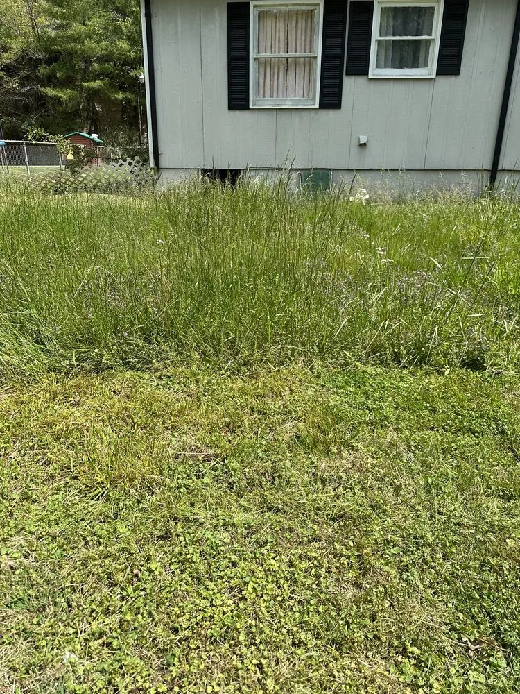 Top-rated residential landscaping in Jenkins, KY by Team 316 Lawn Care