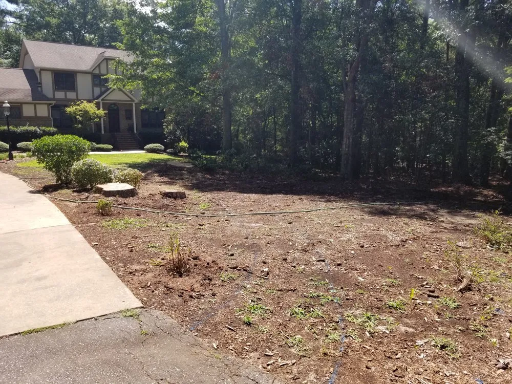 Top-rated garden landscaping for year-round maintenance in Townville, SC by Team Blackwell