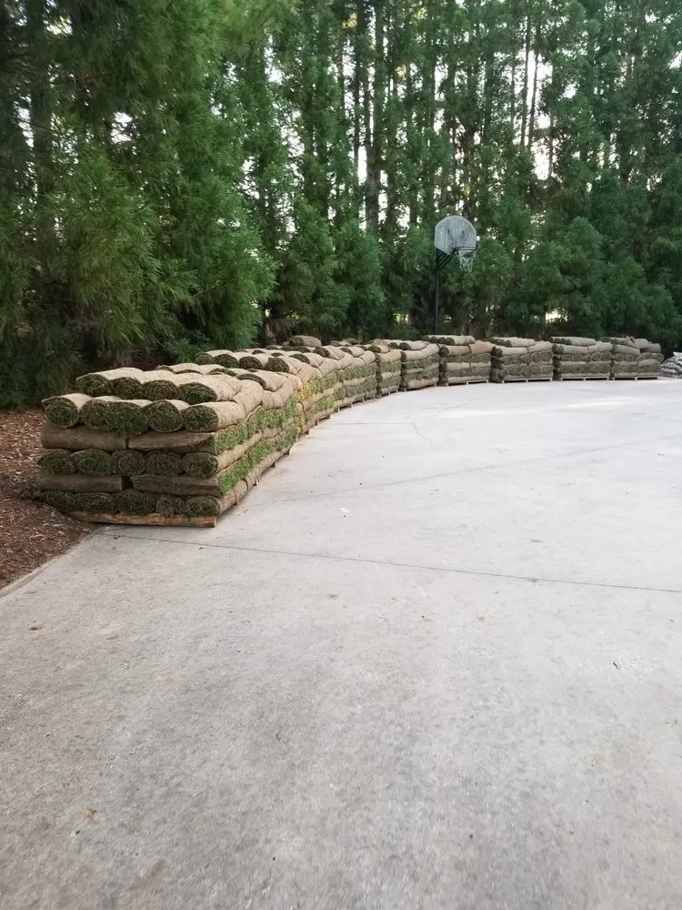 Expert landscape installation for homes in Townville, SC by Team Blackwell