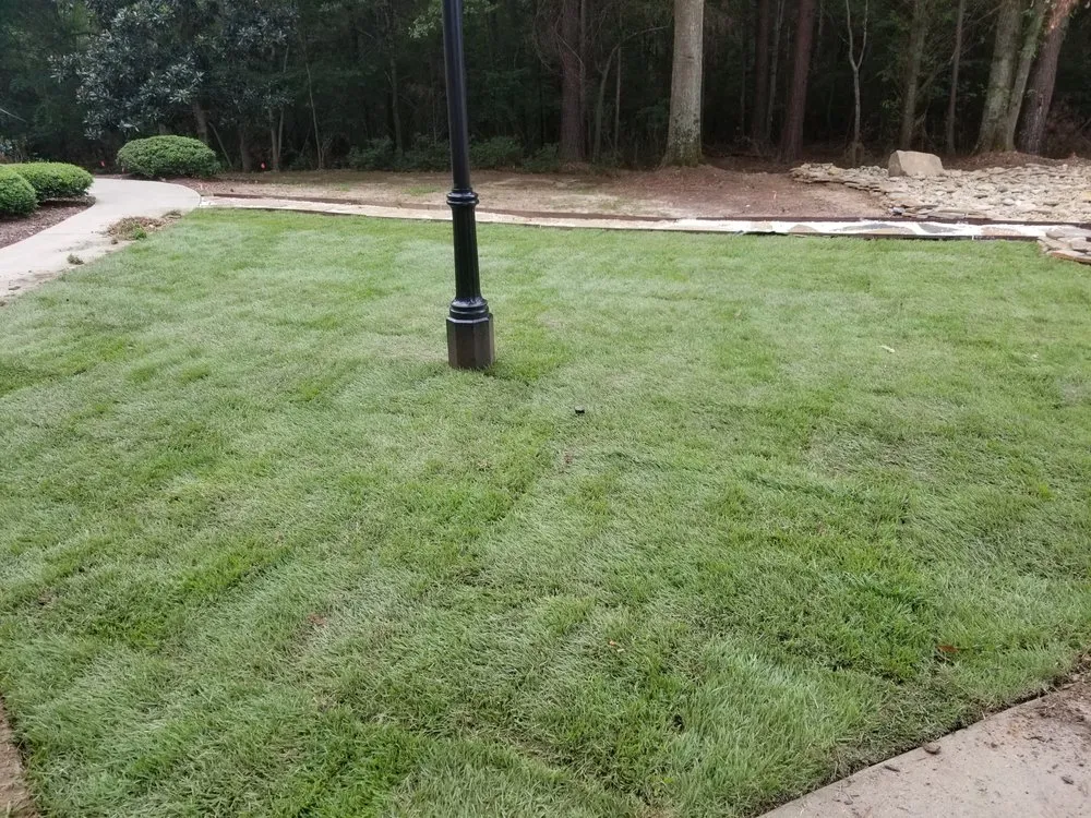 Affordable yard cleanup service in Townville, SC - Team Blackwell