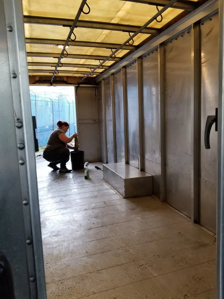 Local landscaping services in Dundalk, MD - Team Cleaning