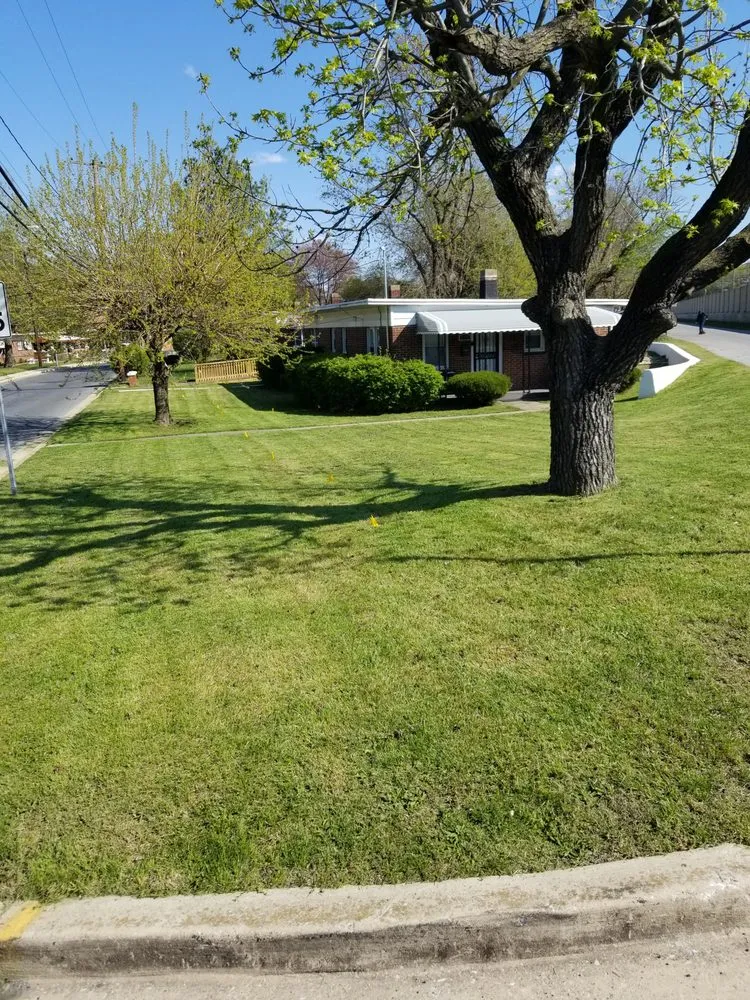 Local lawn care service with custom design in Dundalk, MD by Team Cleaning