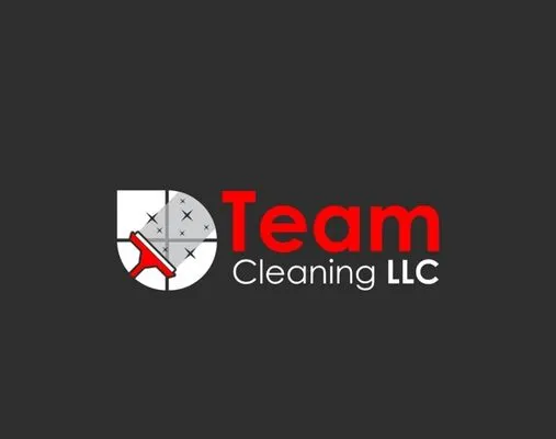 Team Cleaning Logo
