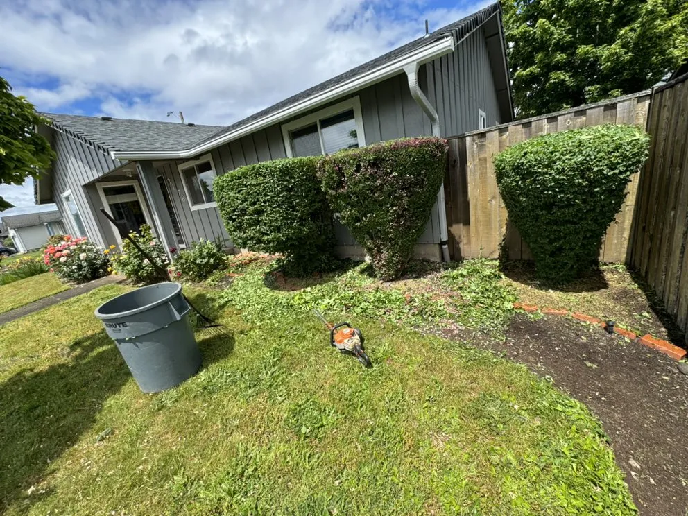 Expert landscape installation near you in Springfield, OR by Team Cricks