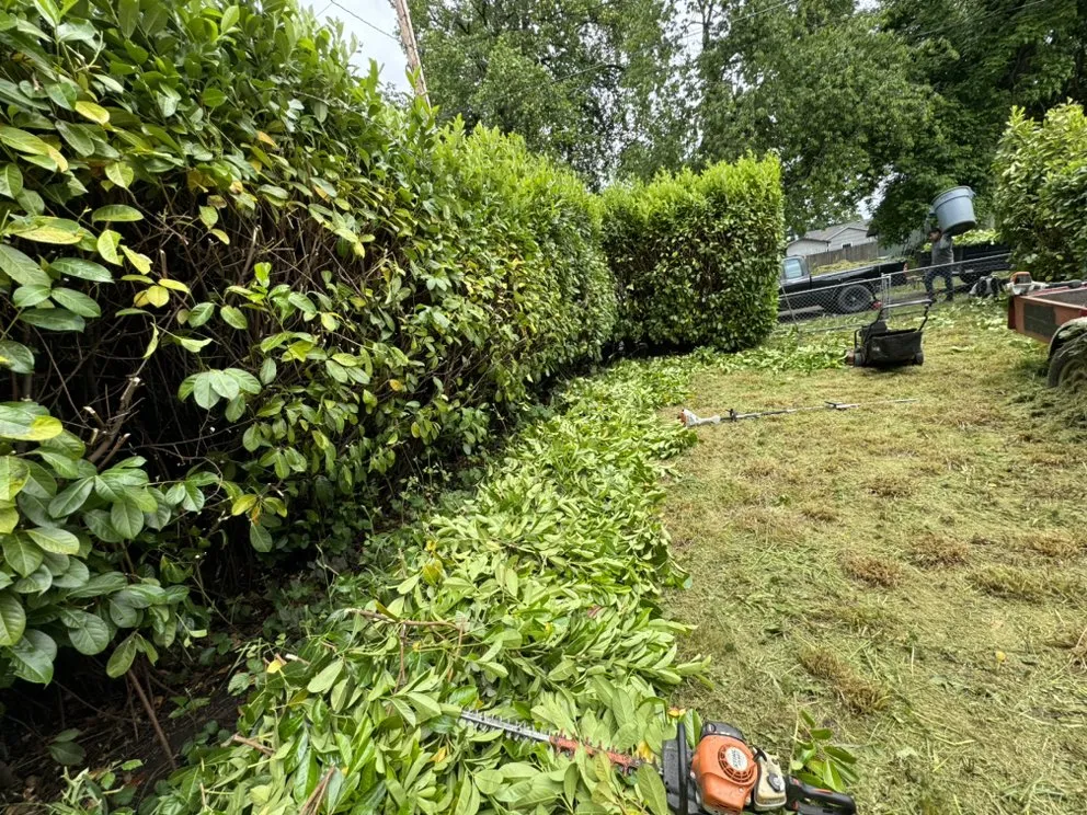 Top-rated garden landscaping for year-round maintenance in Springfield, OR by Team Cricks