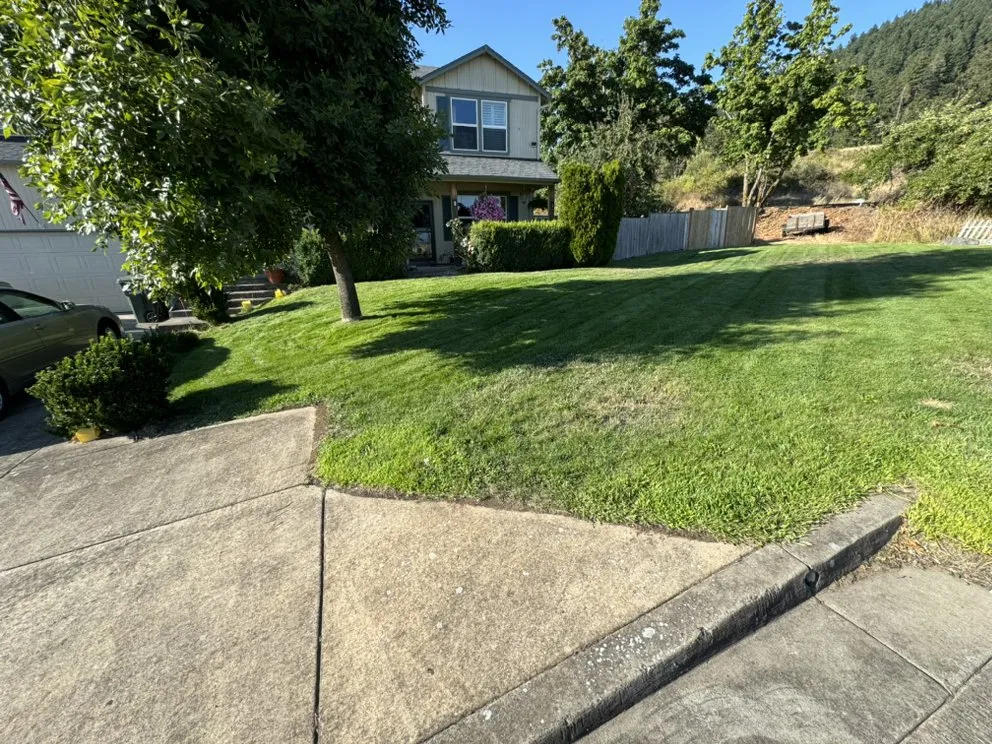 Expert residential landscaping experts serving Springfield, OR - Team Cricks