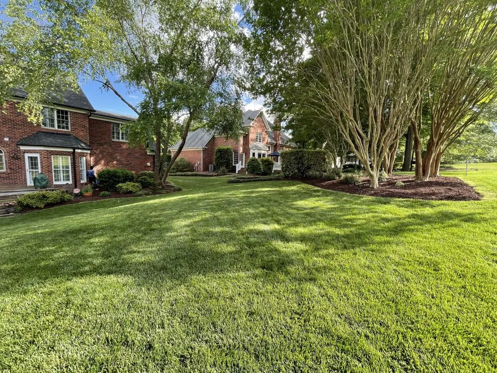 Top-rated yard cleanup service in Charlotte, NC by Team Do-it-All