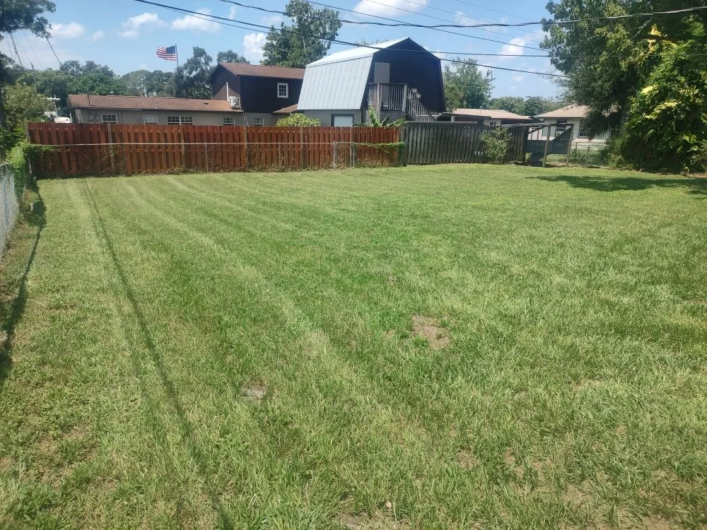 Local outdoor landscaping for year-round maintenance across Rockledge, FL - Team Earth Landscaping