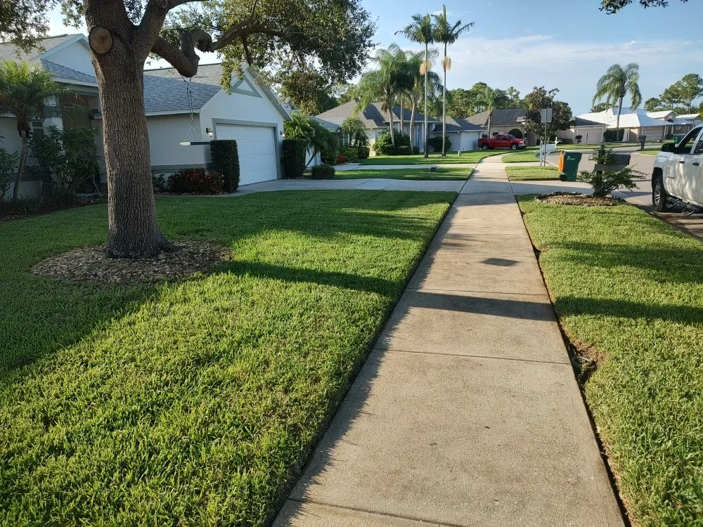 Top-rated landscape installation in Rockledge, FL - Team Earth Landscaping