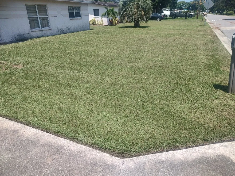 Affordable garden landscaping in Rockledge, FL - Team Earth Landscaping