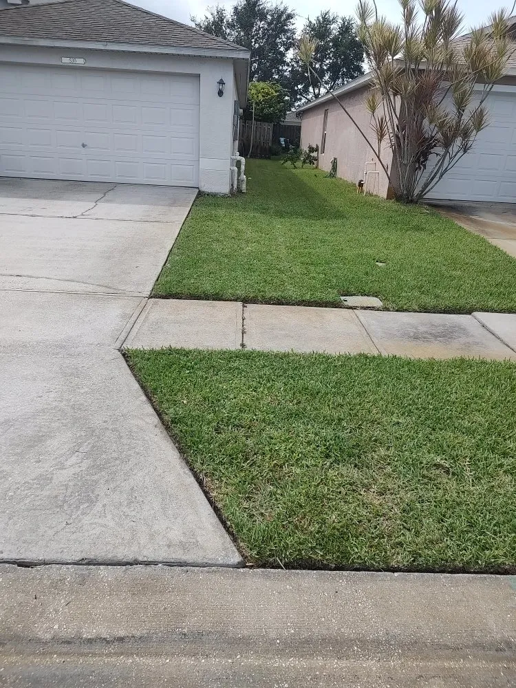 Trusted landscape installation experts serving Rockledge, FL - Team Earth Landscaping