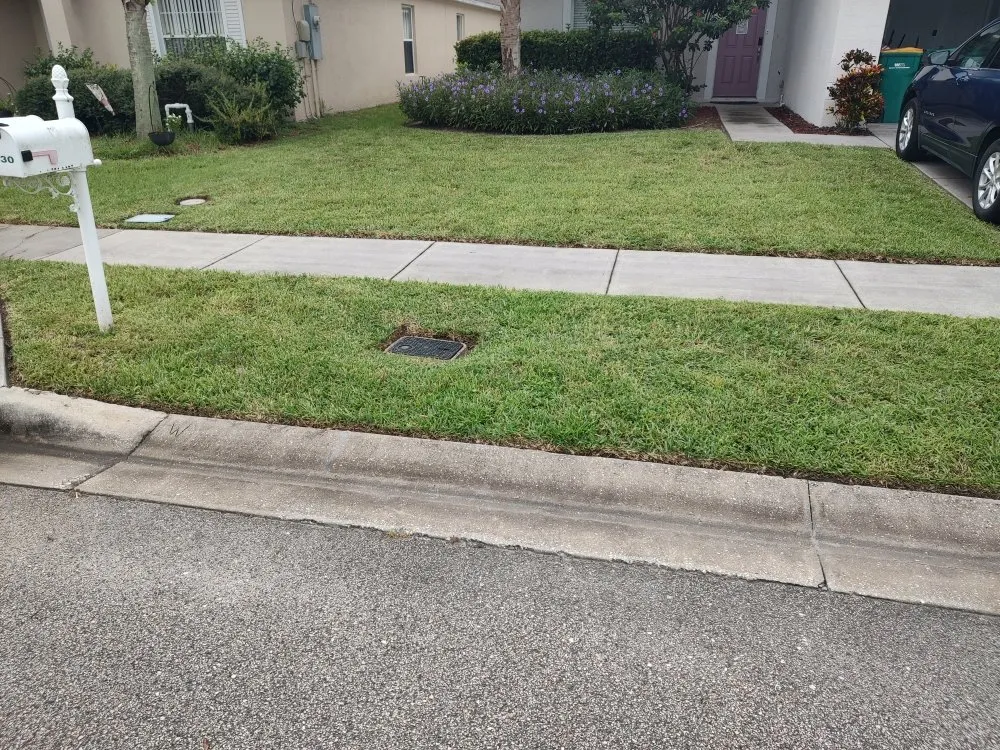 Local yard cleanup service for homes in Rockledge, FL by Team Earth Landscaping