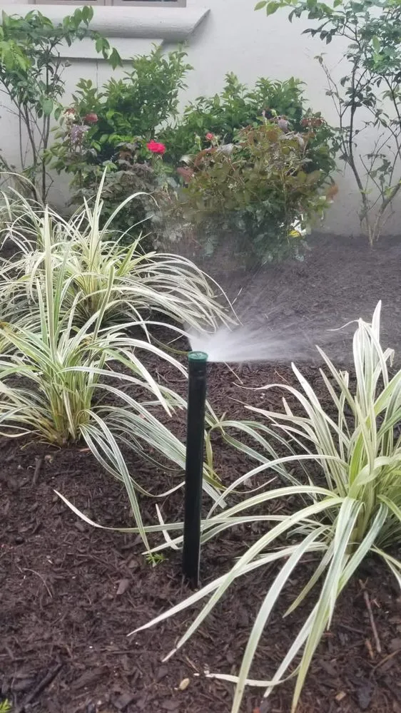 Top-rated landscaping services in Houston, TX - Team Gabino Landscaping & More