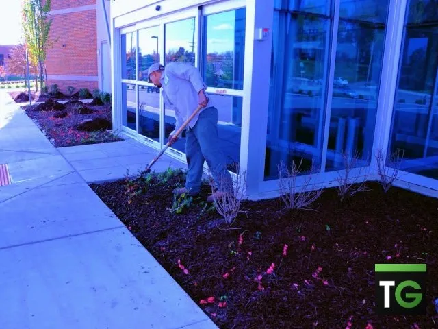 Reliable yard cleanup service experts serving Ellisville, MO - Team Green Outdoor