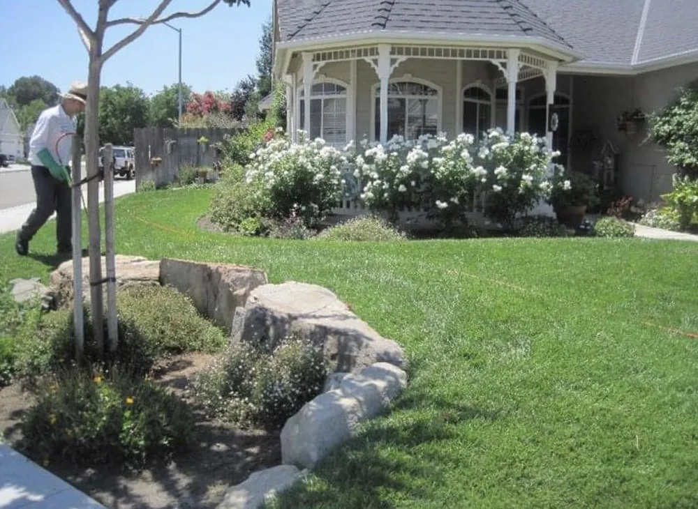 Reliable residential landscaping in Fresno, CA by Team Green Pest Control