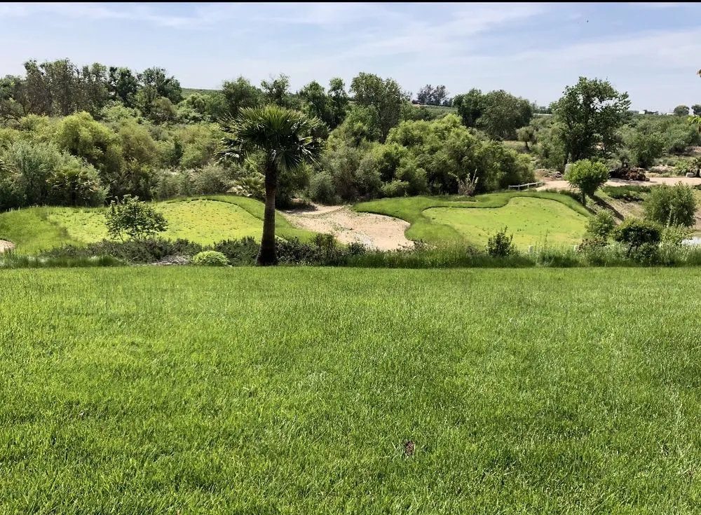 Expert outdoor landscaping for beautiful yards in Fresno, CA by Team Green Pest Control