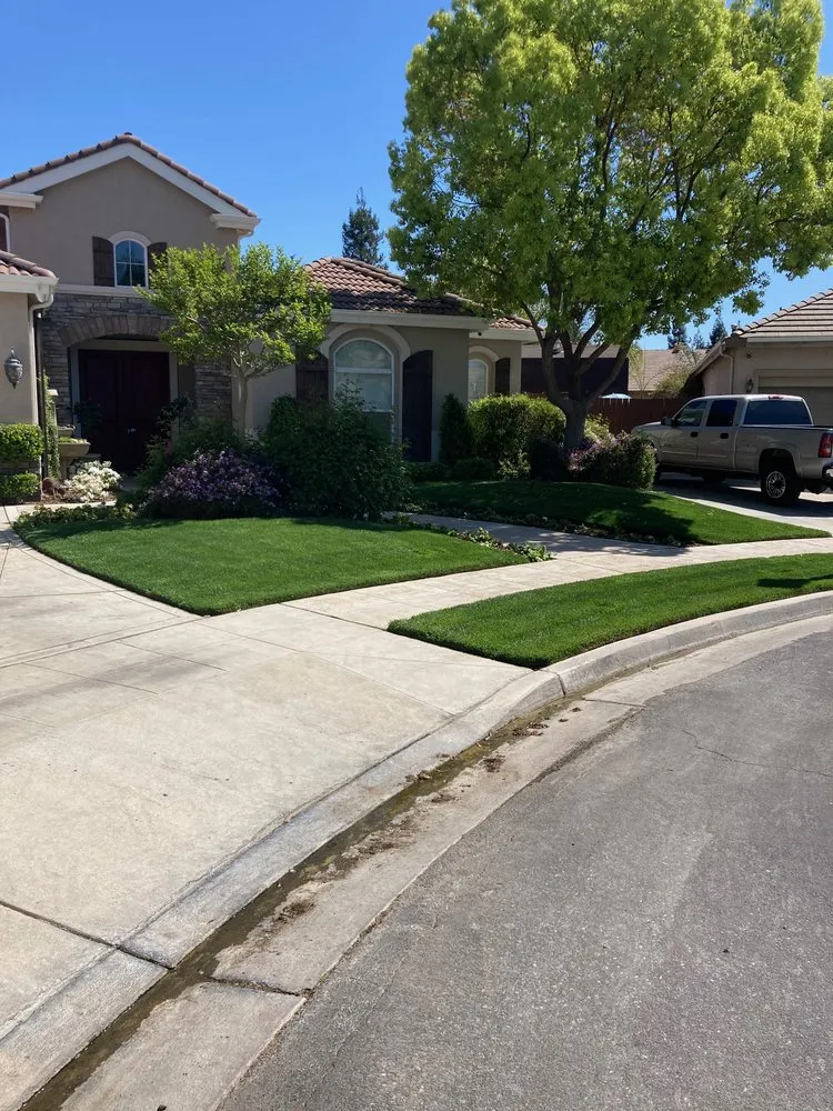 Top-rated yard cleanup service near you across Fresno, CA - Team Green Pest Control