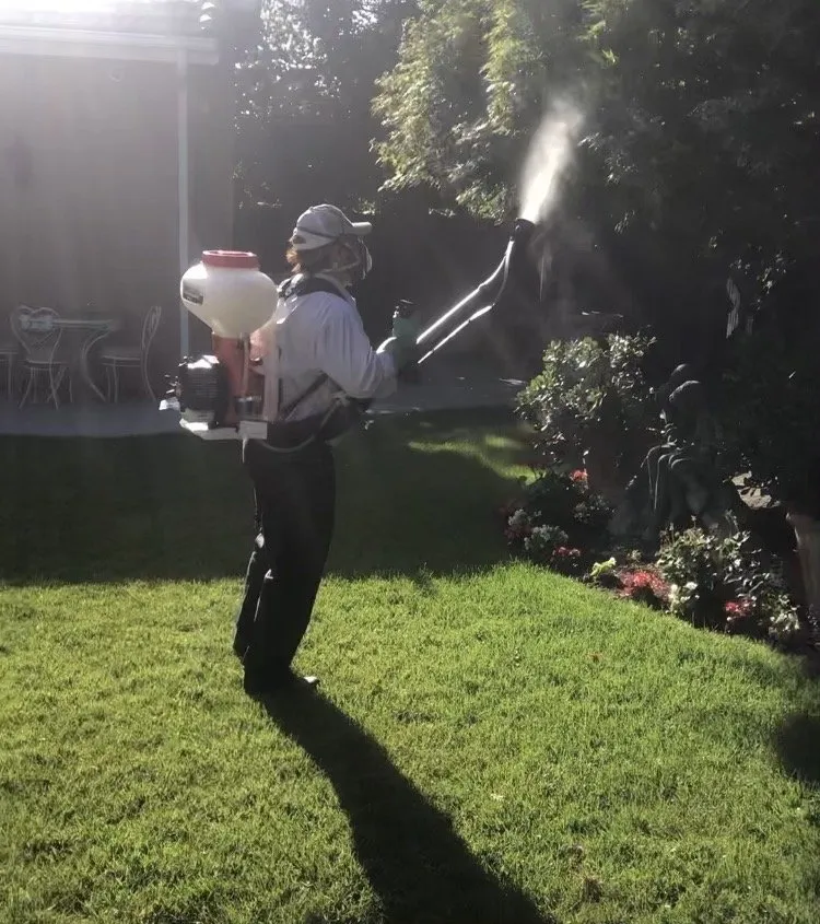 Trusted lawn care service near you across Fresno, CA - Team Green Pest Control