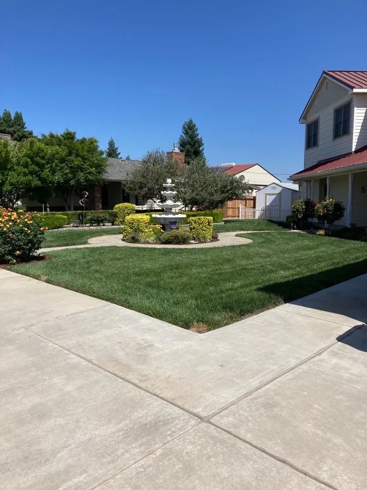Local landscape installation for beautiful yards across Fresno, CA - Team Green Pest Control