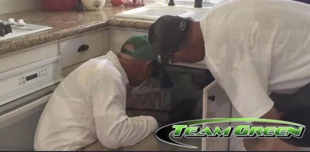 Local lawn care service with custom design in Fresno, CA by Team Green Pest Control