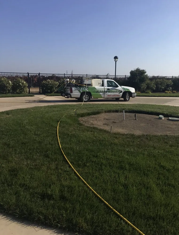 Top-rated yard cleanup service with custom design in Fresno, CA by Team Green Pest Control