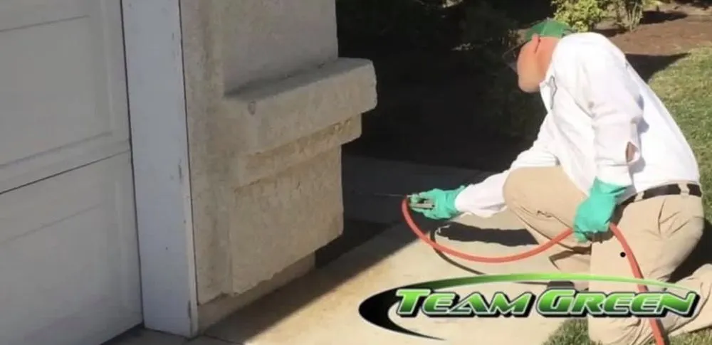 Local yard maintenance experts serving Fresno, CA - Team Green Pest Control