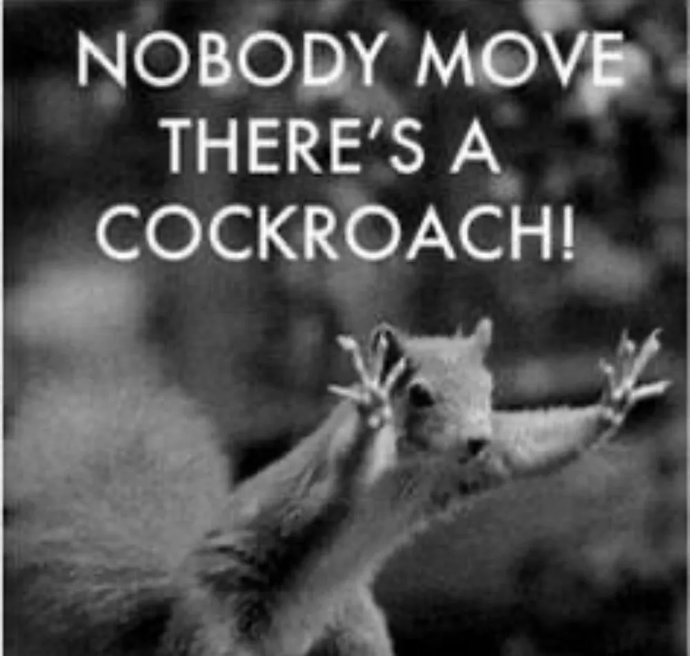 Professional landscaping services in Fresno, CA - Team Green Pest Control