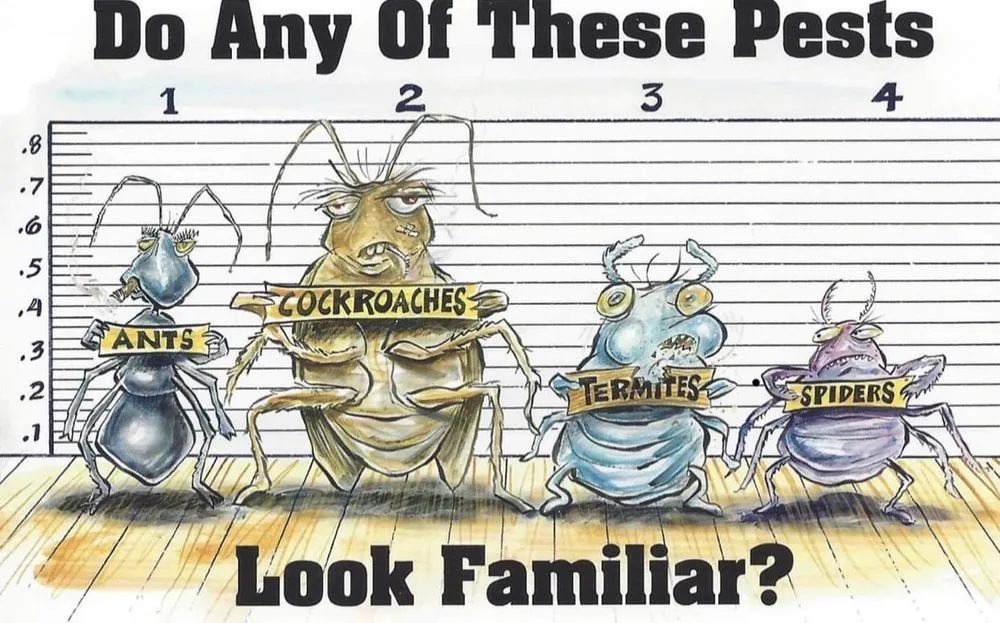 Custom landscaping services in Fresno, CA by Team Green Pest Control