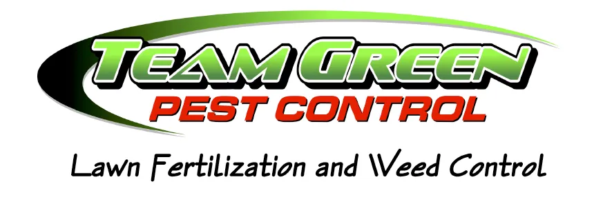 Professional residential landscaping with custom design in Fresno, CA by Team Green Pest Control