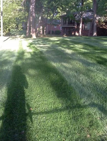 Local residential landscaping in Monroe, NC by Team Green Turf