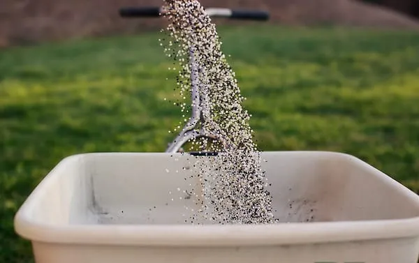 Team Green Turf Logo