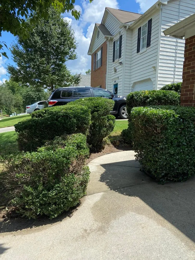 Custom yard maintenance experts serving Austell, GA - Team Heroes Lawn Care