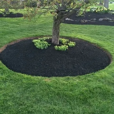 Top-rated yard maintenance in Lawrence Township, NJ - Team Herrera Landscaping