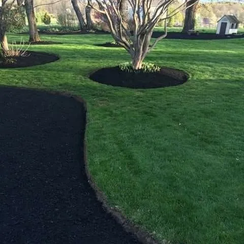 Reliable yard cleanup service for residential properties in Lawrence Township, NJ by Team Herrera Landscaping