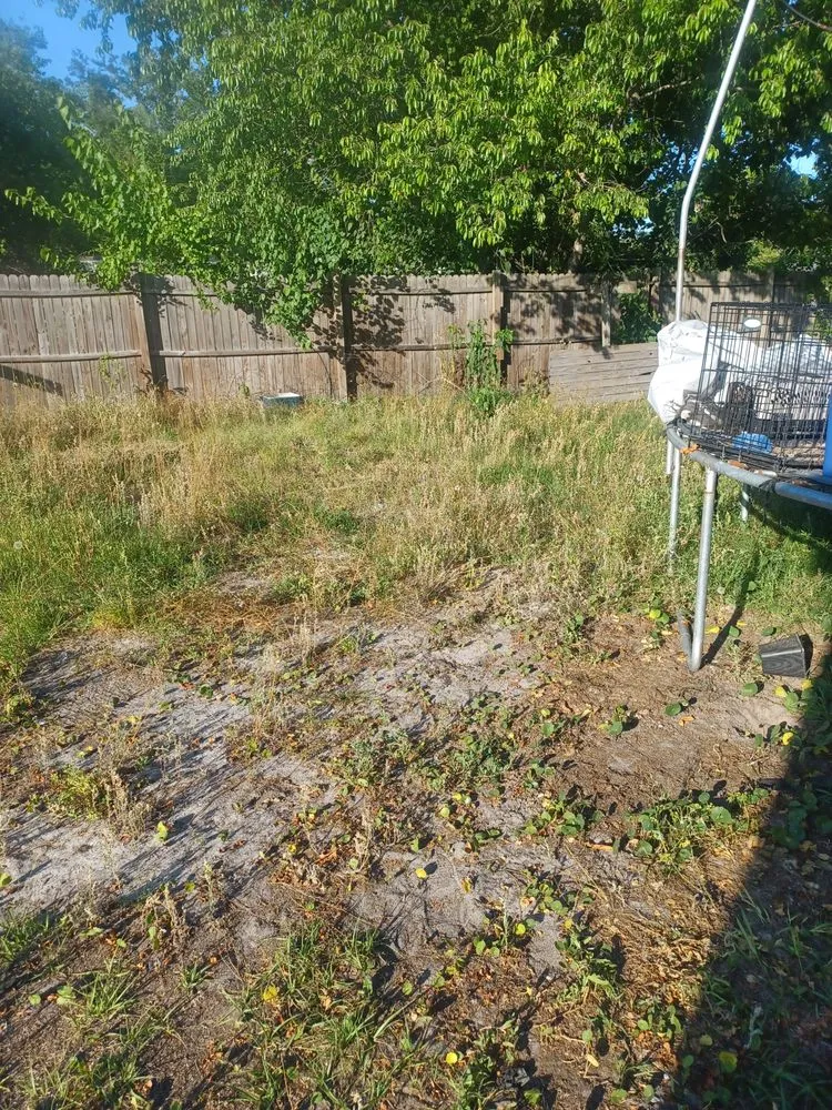 Custom yard maintenance experts serving Jesup, GA - Team James Lawn And Residential Services