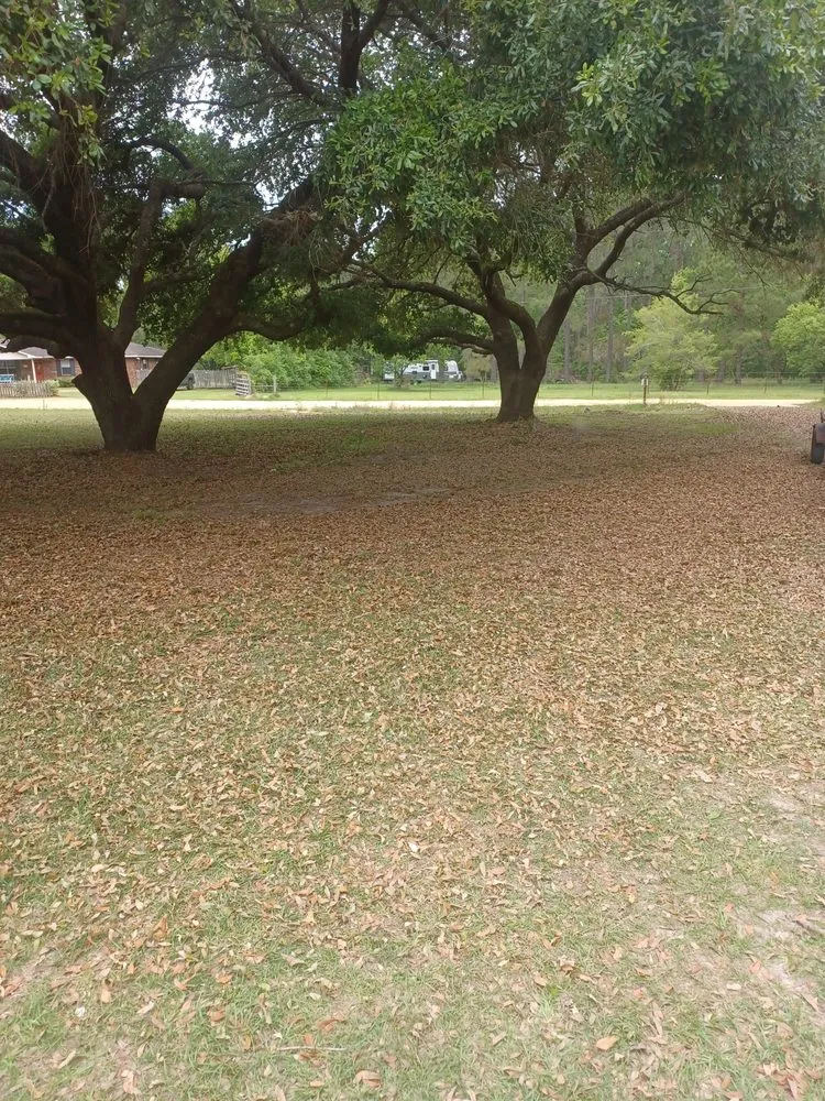 Professional landscape design near you in Jesup, GA by Team James Lawn And Residential Services