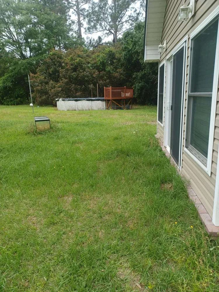 Professional yard cleanup service experts serving Jesup, GA - Team James Lawn And Residential Services