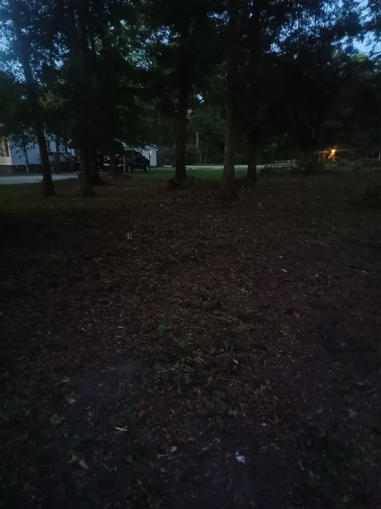 Affordable landscape design for residential properties in Jesup, GA by Team James Lawn And Residential Services