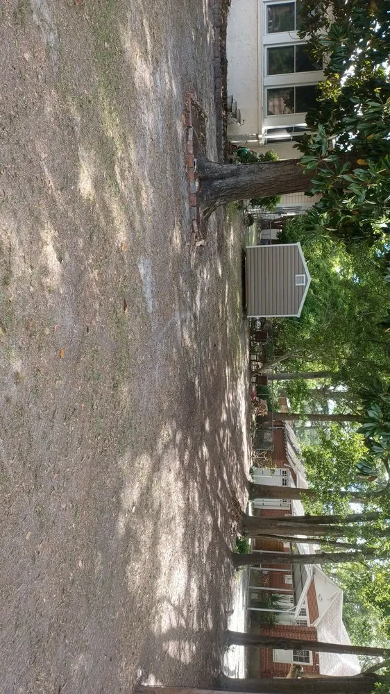 Expert outdoor landscaping in Jesup, GA - Team James Lawn And Residential Services