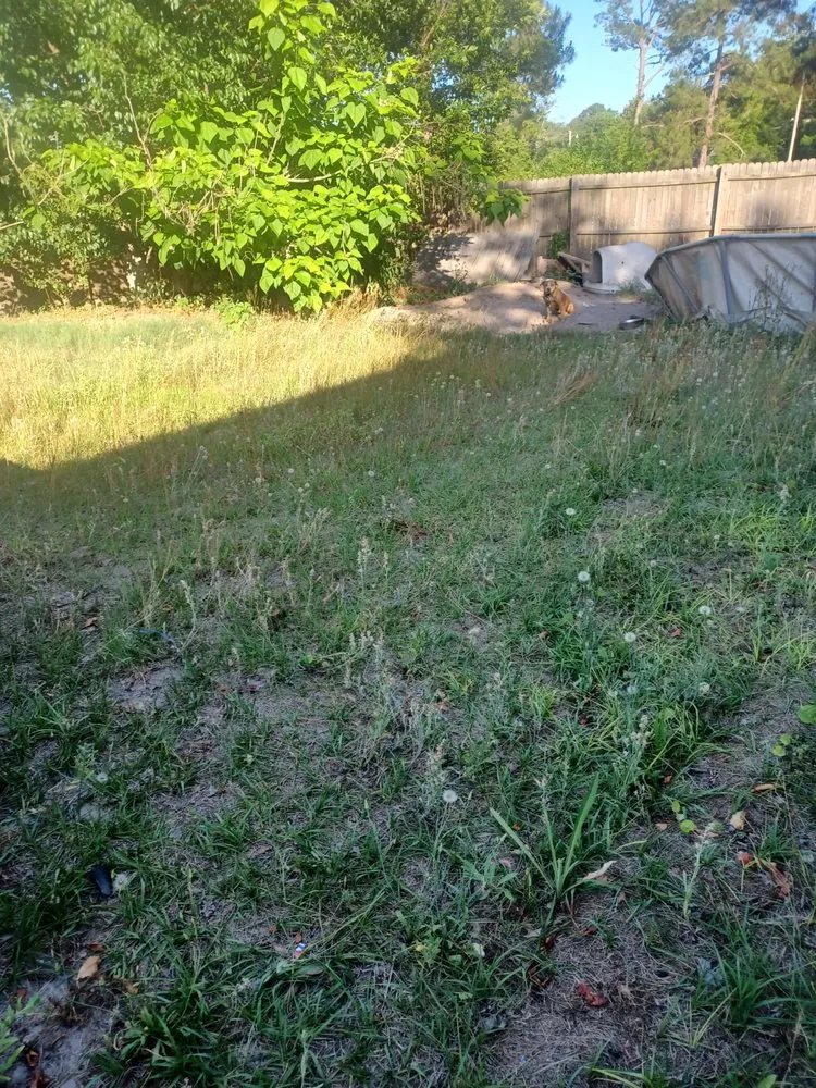 Expert residential landscaping in Jesup, GA - Team James Lawn And Residential Services